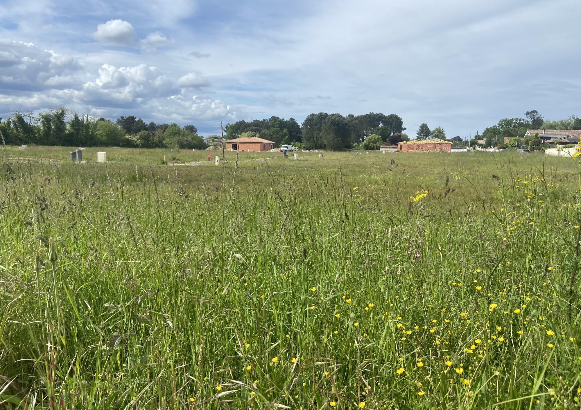 Immobilier prix bordeaux terrain calme proches commodités Le Taillan Saint Medard, plages