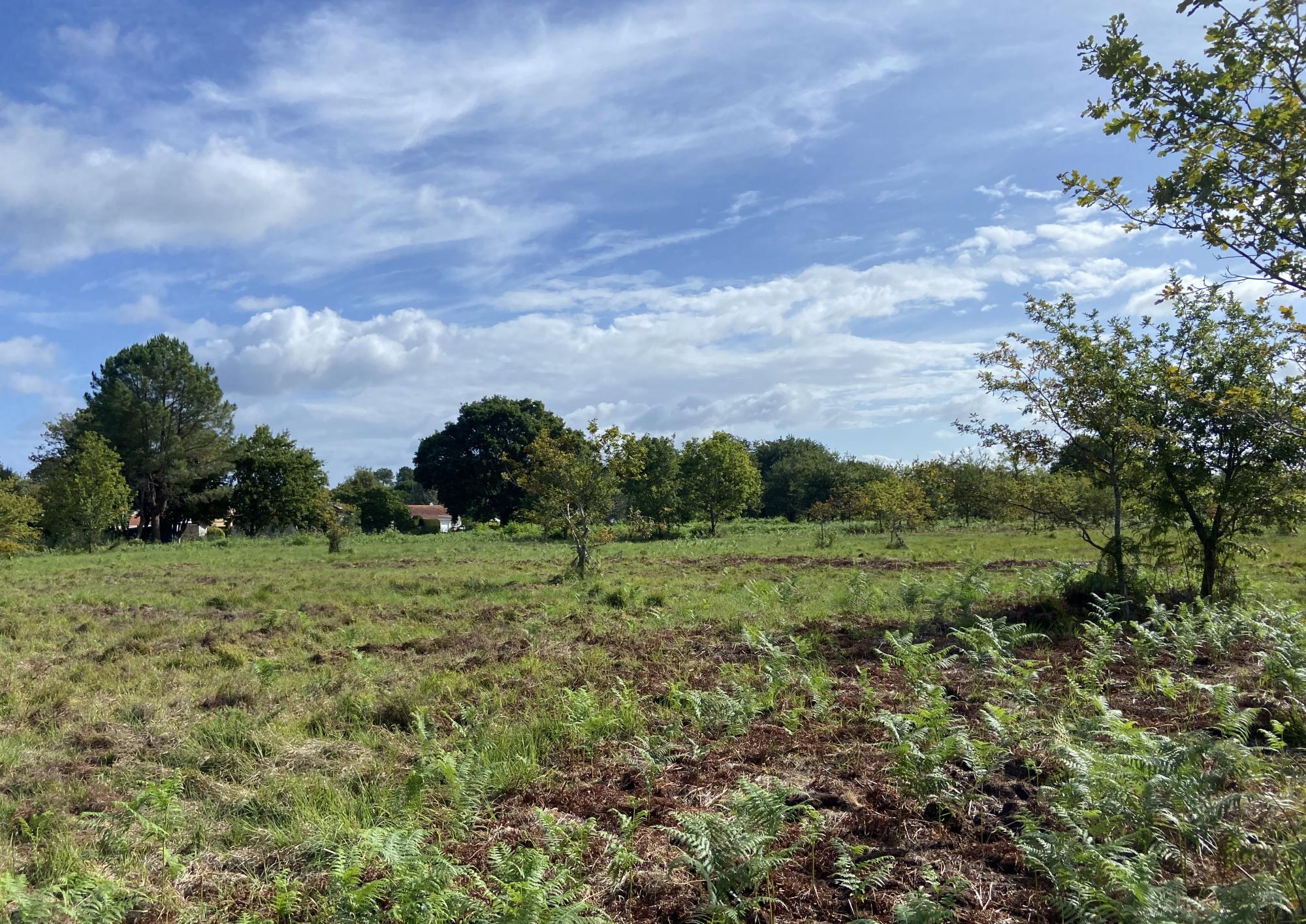 Terrains à vendre à Gastes, au bord du lac de Biscarosse Parentis